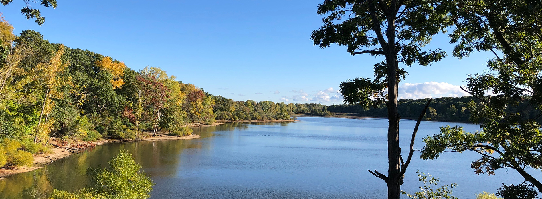 The alt text for this image could be A serene landscape featuring a river, trees, and a clear blue sky.